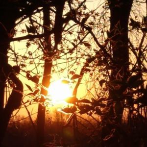 Meet your Posher, Sally